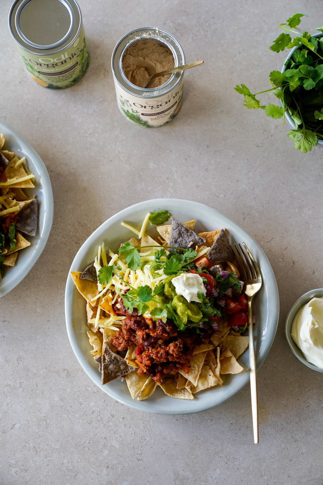 Loaded Nachos