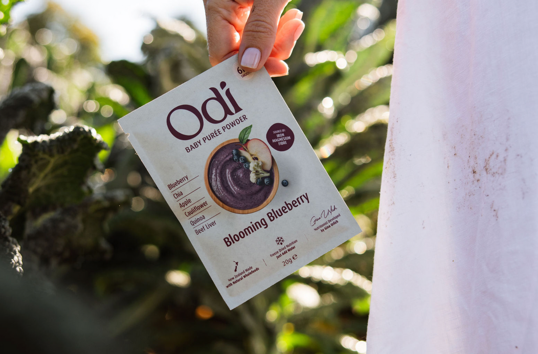 Baby gut health - strengthening intestinal barrier with bone broth, collagen and liver | Odi clinical nutritionist Gina Ulrich