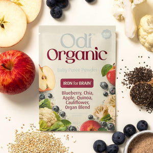 Organic Blueberry Purée Powder