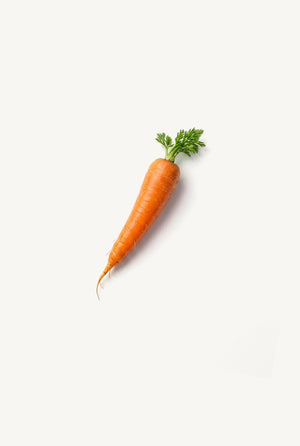 Carrot