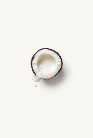 Coconut Milk