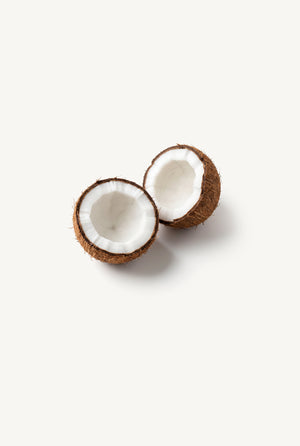 Coconut