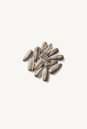 Organic Sunflower Seeds