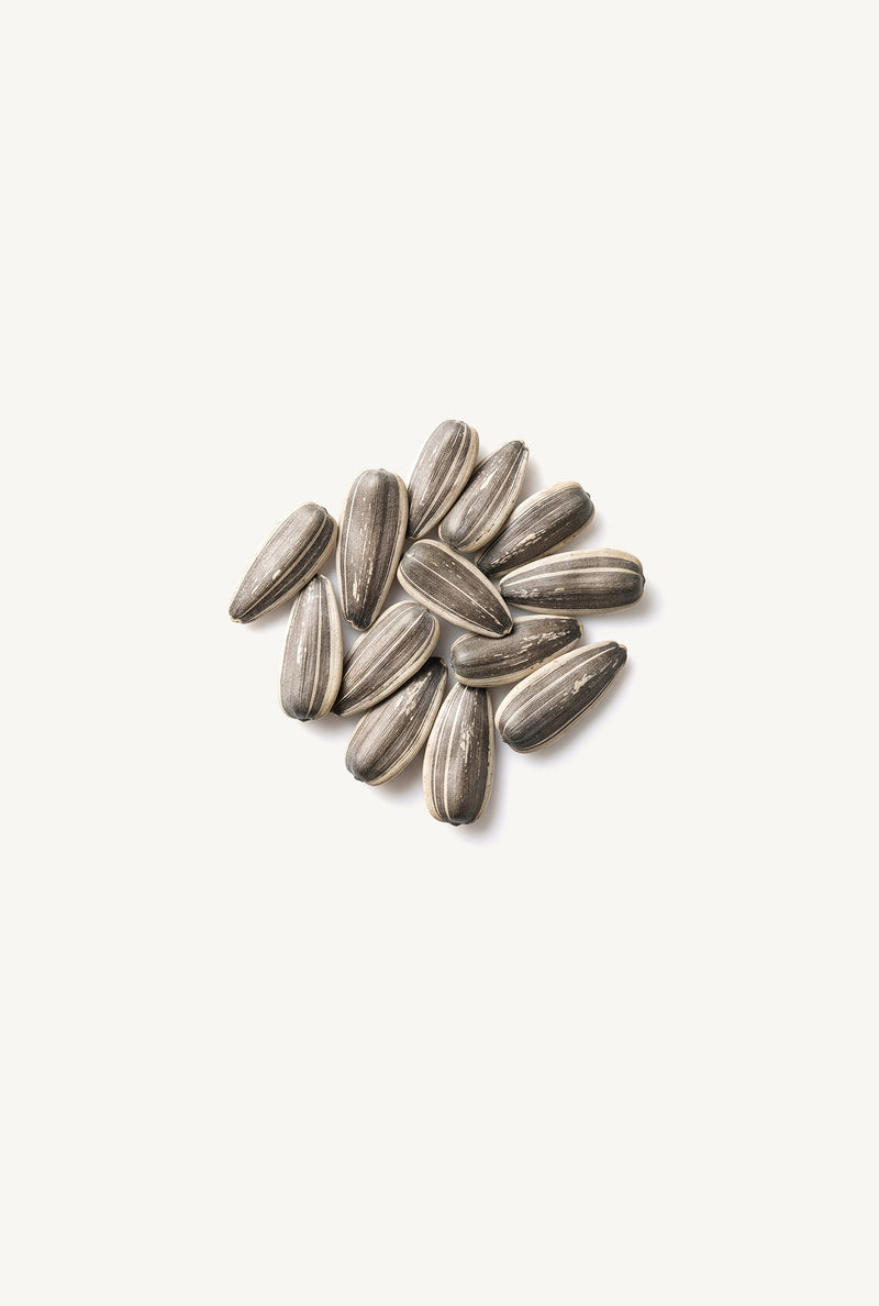 Organic Sunflower Seeds
